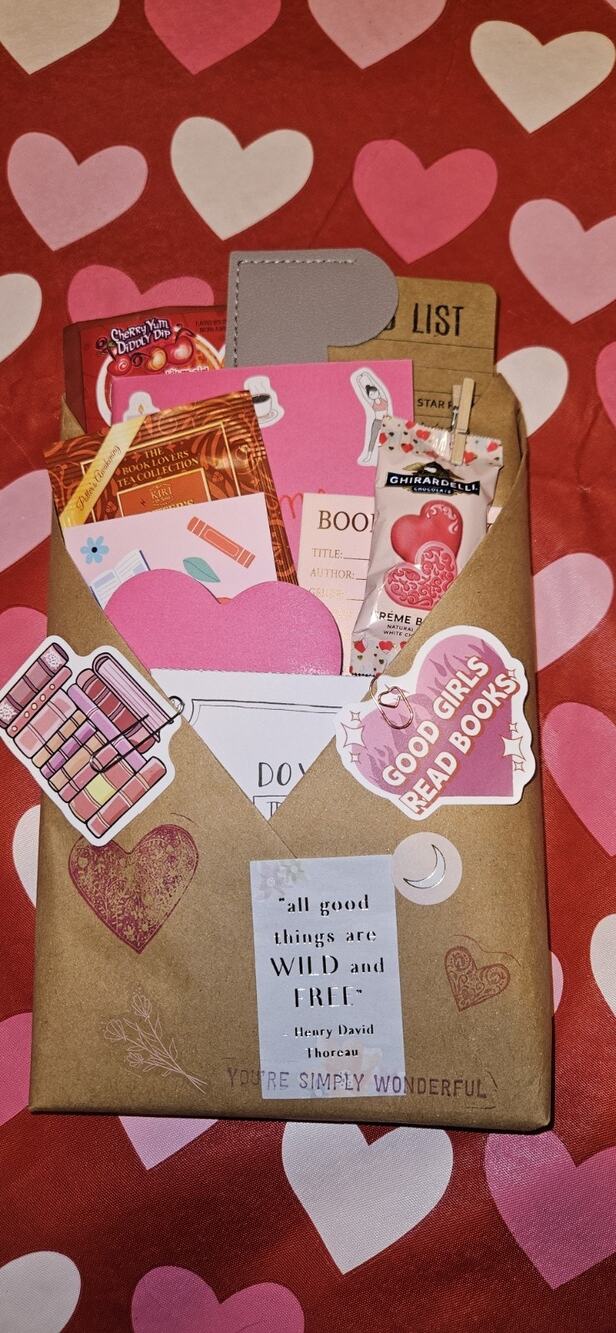 Blind-Date-With-A-Book Bookish Psychological Thriller/ Mystery Bundle #10